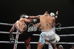 thomas adamandopoulos - xavier bastard