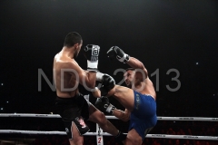NDC 2013