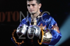 yetkin ozkul - masahiro yamamoto