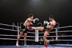 yetkin ozkul - masahiro yamamoto