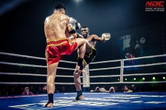 Salvador-vs-Salmon-11