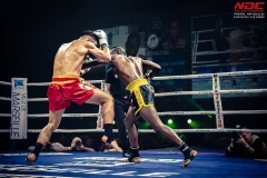 Salvador-vs-Salmon-13