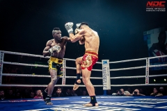 Salvador-vs-Salmon-18