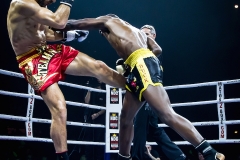 Salvador-vs-Salmon-19
