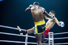 Salvador-vs-Salmon-21