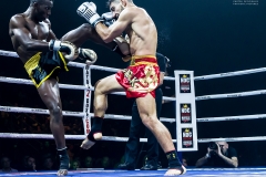 Salvador-vs-Salmon-25