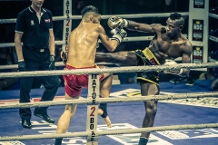 Salvador-vs-Salmon-28