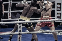 Salvador-vs-Salmon-29