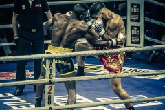 Salvador-vs-Salmon-30