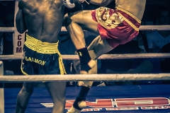 Salvador-vs-Salmon-31
