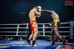 Salvador-vs-Salmon-35