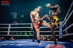 Salvador-vs-Salmon-36