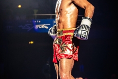 Salvador-vs-Salmon-5