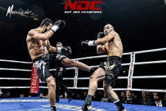 NDC2016-101