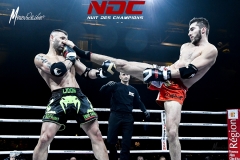 NDC2016-133