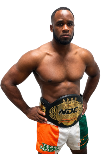 FABRICE GNEDRE